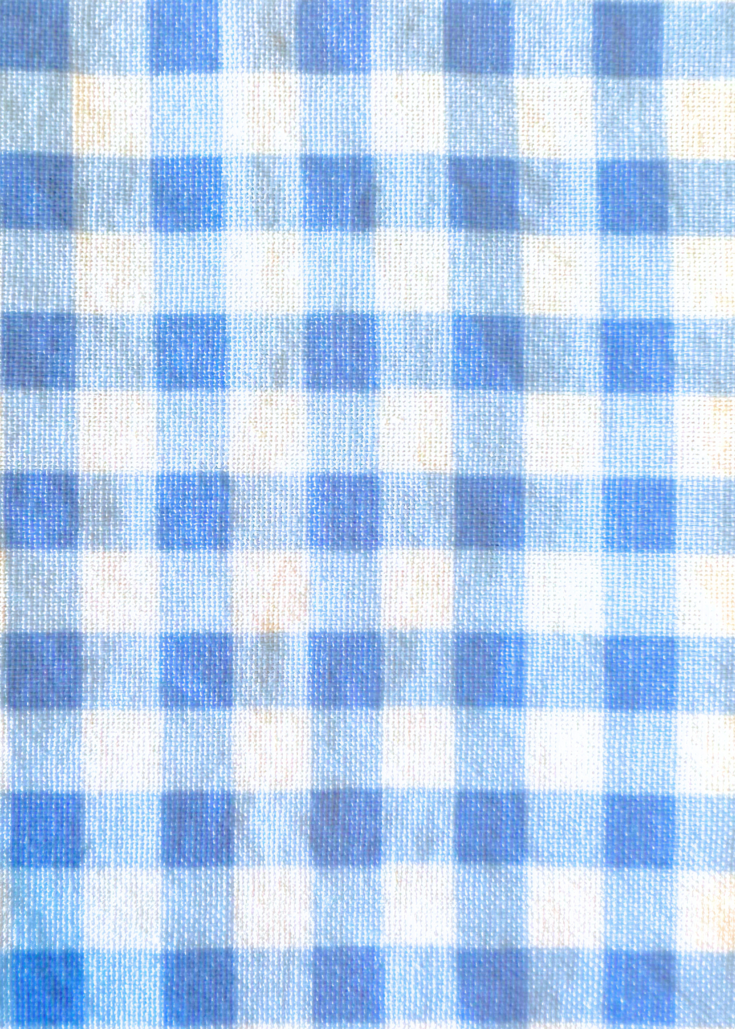 Baby Blue Gingham - Mommy & Me