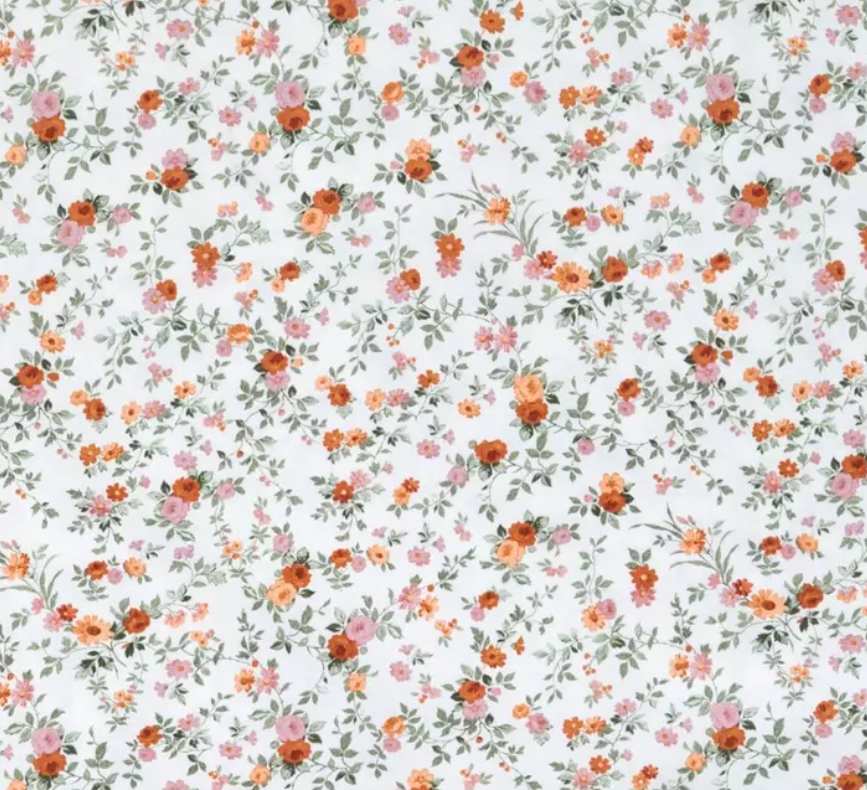 Jane Austen (in the Fall)