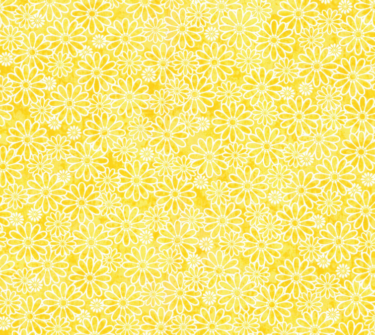 Sunshine Daisy